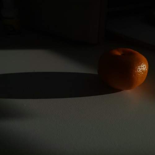 Photo #9848762