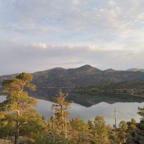 Photo #9848852