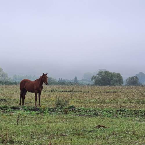 Photo #9849017