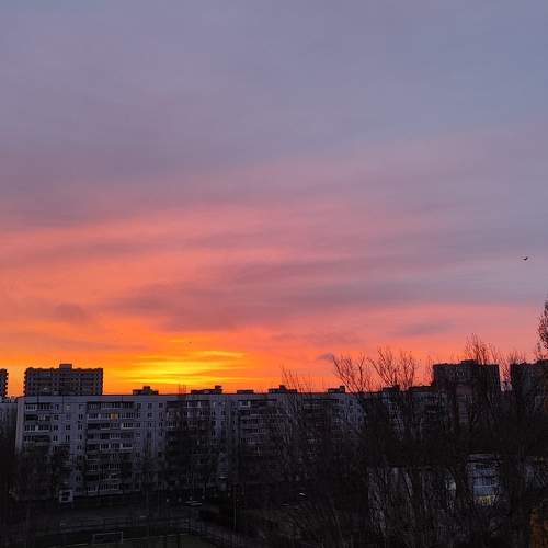 Photo #9849023