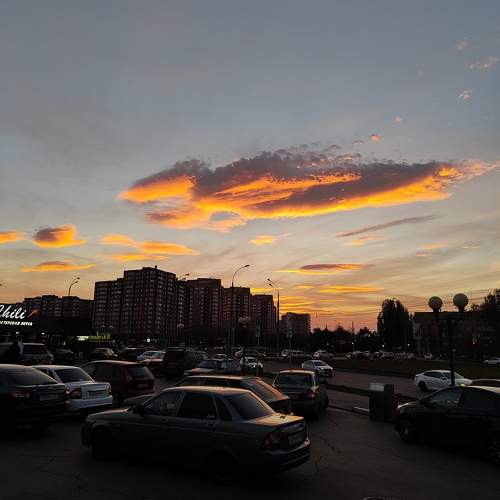 Photo #9849025