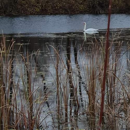 Photo #9849080