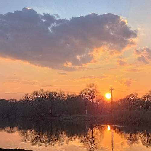 Photo #9849420