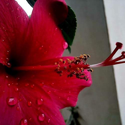 Photo #9849614