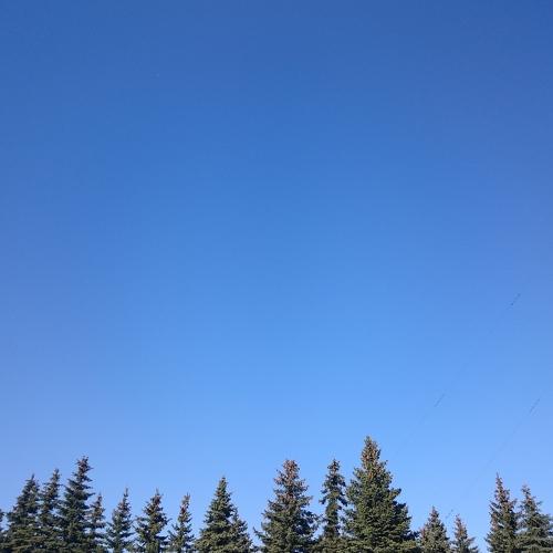 Photo #987848
