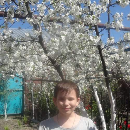 Photo #989885