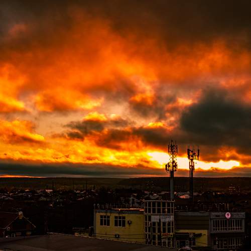 Photo #9850099