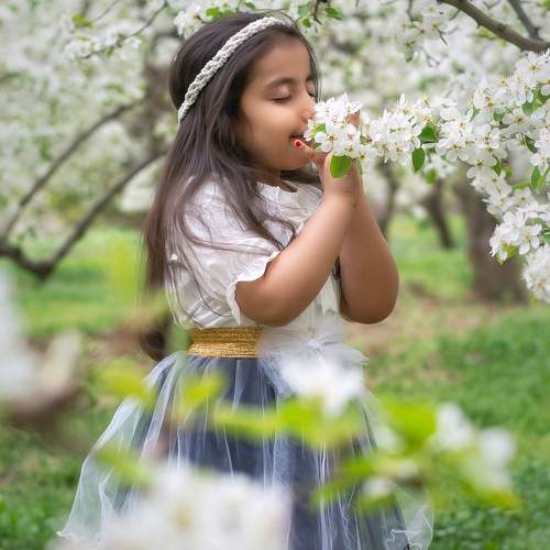 Photo #9850301