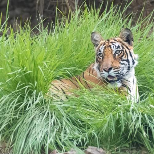 Photo #9850308