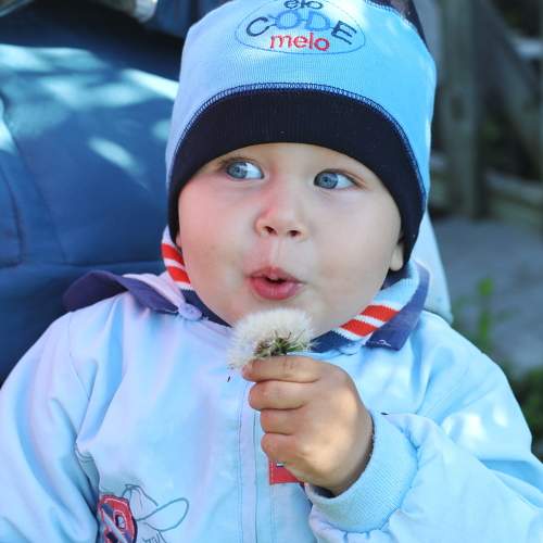Photo #9851527