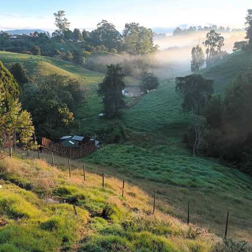 Photo #9852048