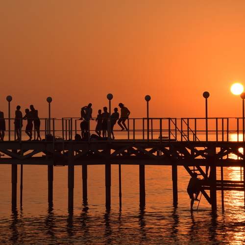 Photo #9852051