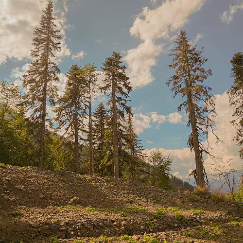 Photo #9852222
