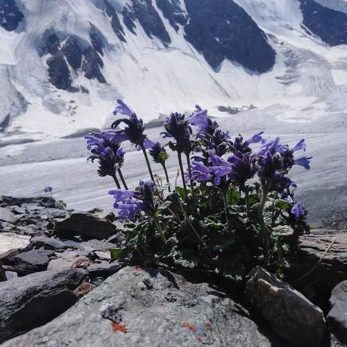 Photo #9852571