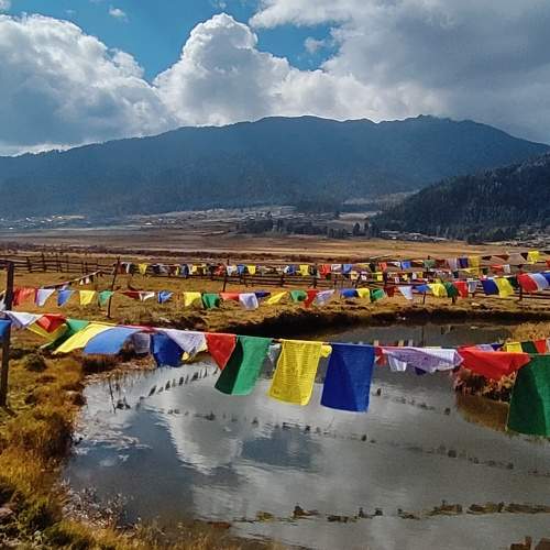 Photo #9852687