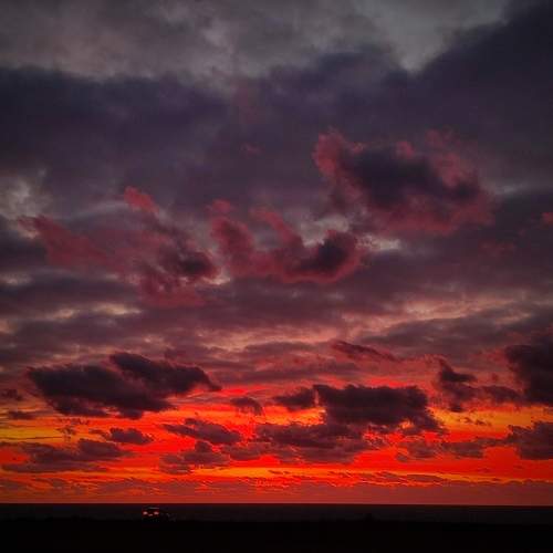 Photo #9852698