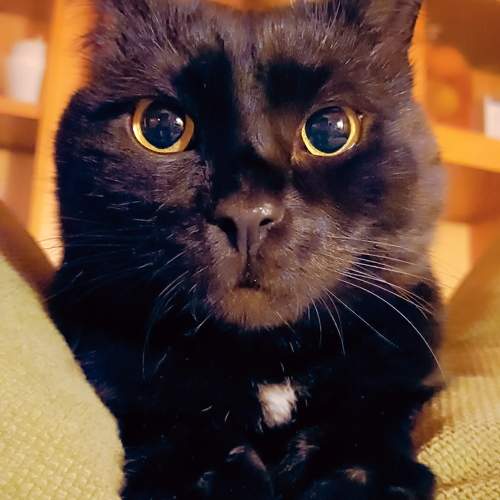 Photo #9853055