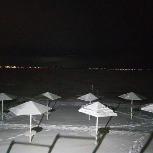 Photo #9853450