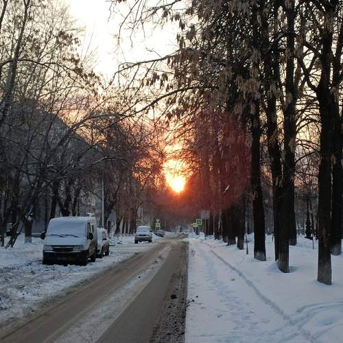 Photo #9853509