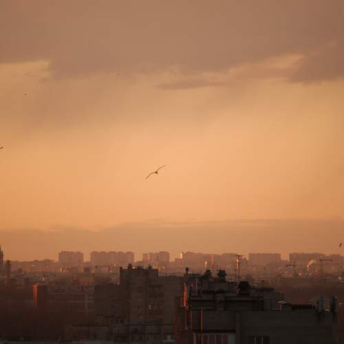 Photo #9853867