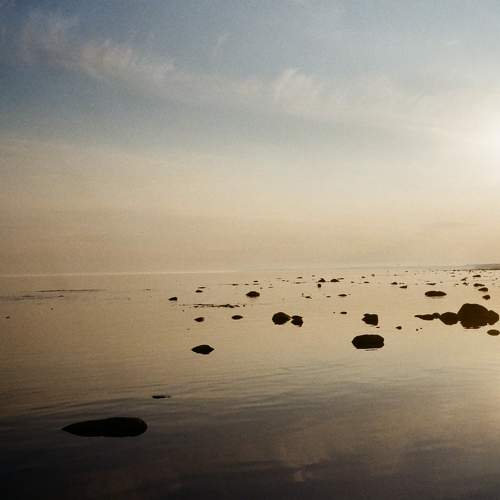 Photo #9854034
