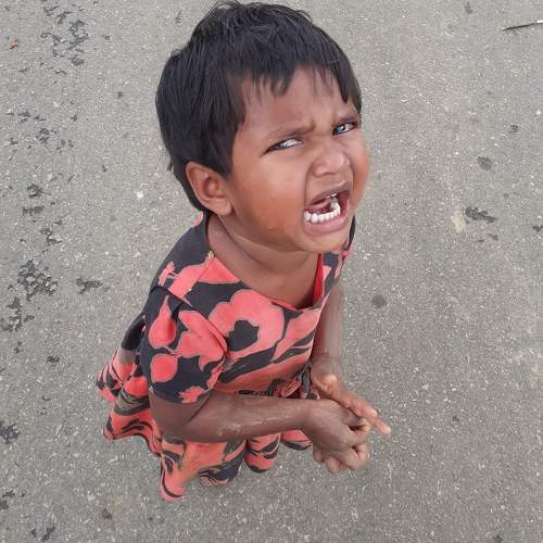 Photo #9854456