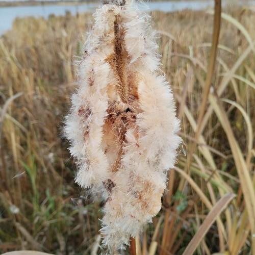 Photo #9854467