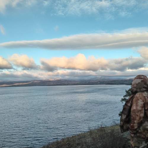 Photo #9854468