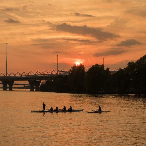 Photo #9854470