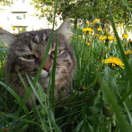 Photo #9854549
