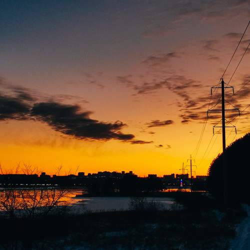 Photo #9854904