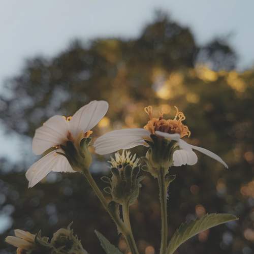 Photo #9855181