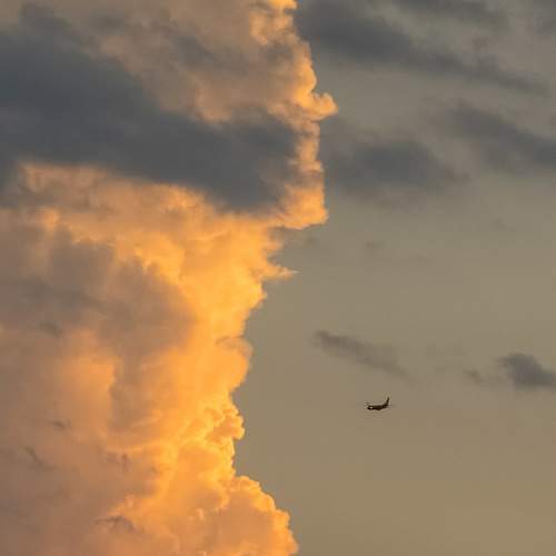Photo #9856804