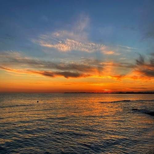 Photo #9857099