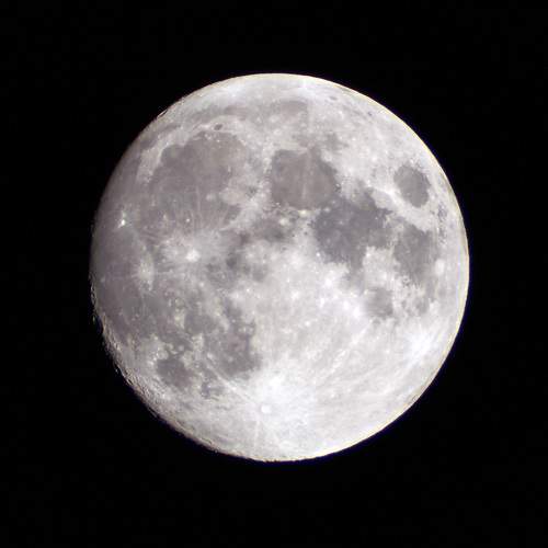 Photo #9857136