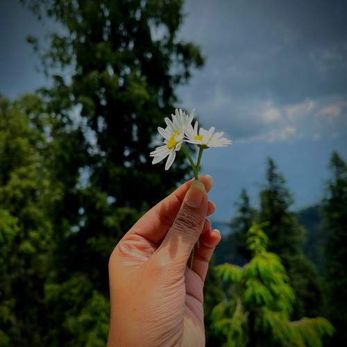 Photo #9857185