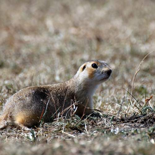 Photo #9857522