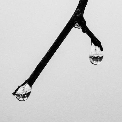 Photo #9857763