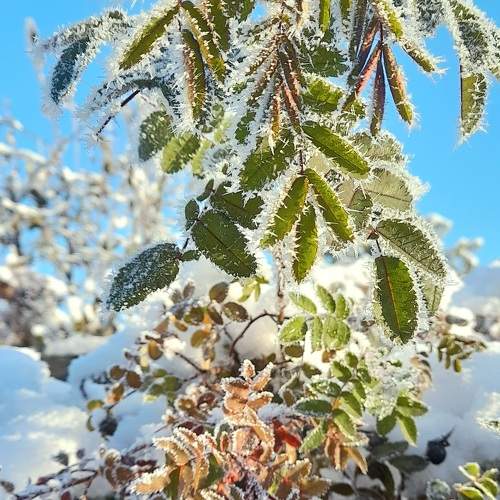 Photo #9857814