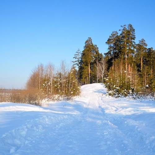Photo #9858107