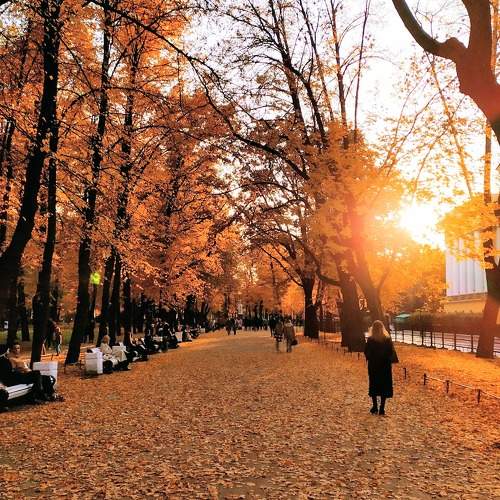 Photo #9858294