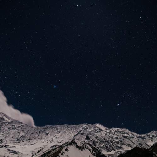 Photo #9858355