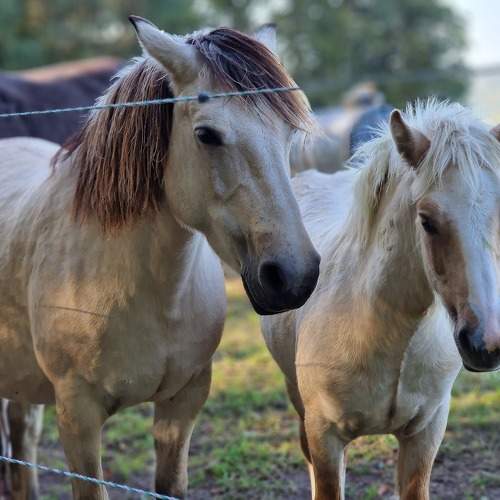 Photo #9858390