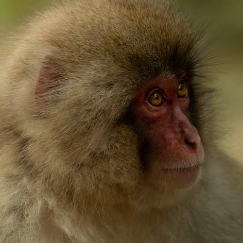 Photo #9858425