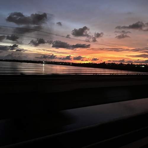 Photo #9858932
