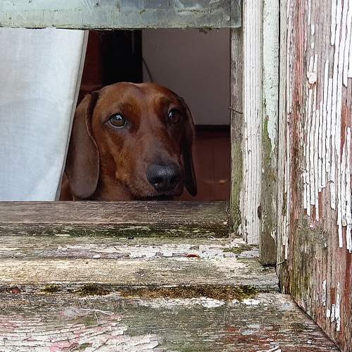 Photo #9859097