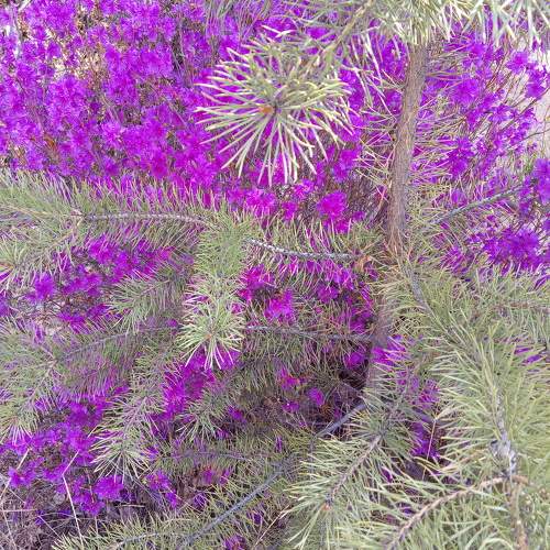 Photo #9859169