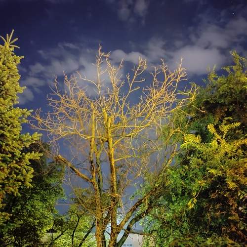 Photo #9859387