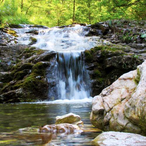 Photo #9859625