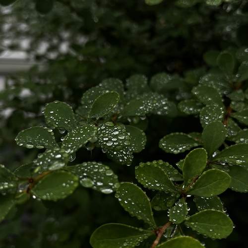 Photo #9859690